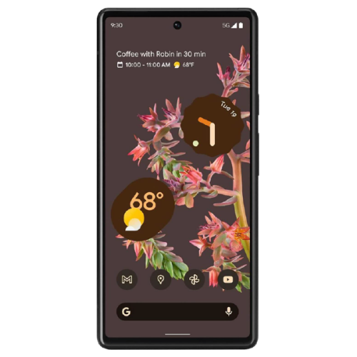 Google Pixel 6 Pro 5G